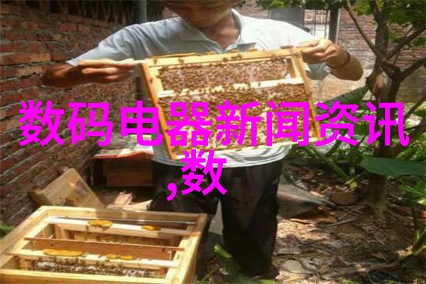 京城装饰墨香与砖影的交响