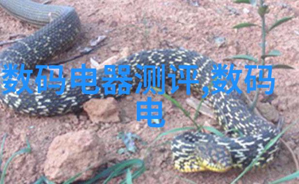 2023年最新卫生间装修风格大揭秘空间优化与时尚设计融合